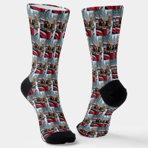 Portuguese Water Dog Christmas Red Truck Holiday Socks