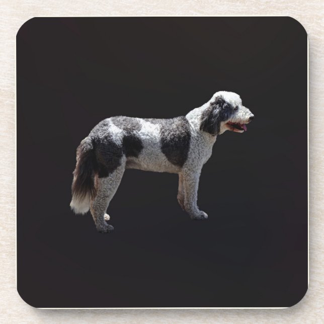 Portuguese Water Dog Coaster (Front)
