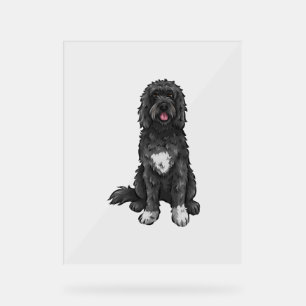 Portuguese Water Dog Cute Dog Art Acrylic Sign