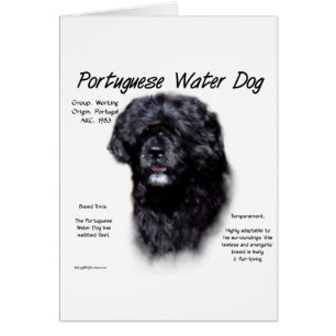 Portuguese Water Dog History Design