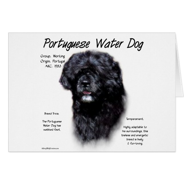 Portuguese Water Dog History Design (Front Horizontal)