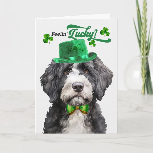 Portuguese Water Dog Lucky St Patrick's Day Holiday Card (Front)