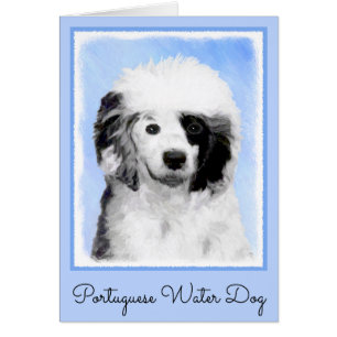 Portuguese Water Dog Painting - Original Dog Art