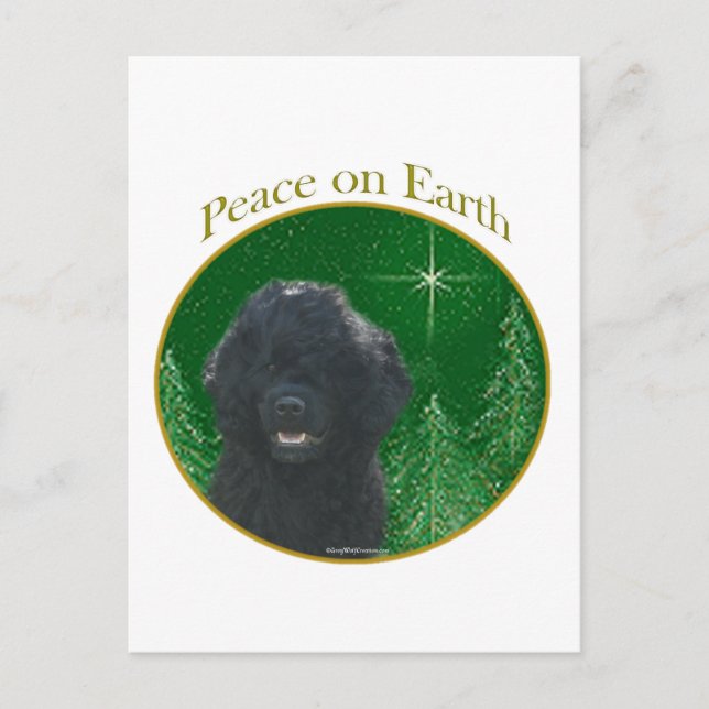 Portuguese Water Dog Peace Postcard (Front)