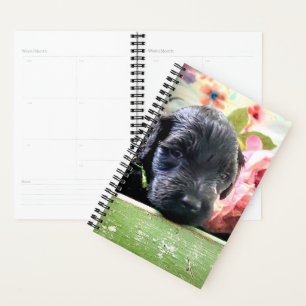Portuguese Water Dog Planner Sweet  Puppy