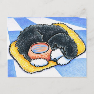 Portuguese Water Dog Postcard