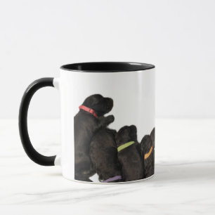 Portuguese Water Dog Puppy Mug