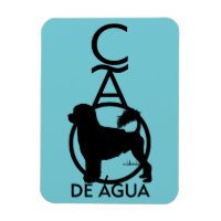 Portuguese Water Dog Standing Cao de Agua