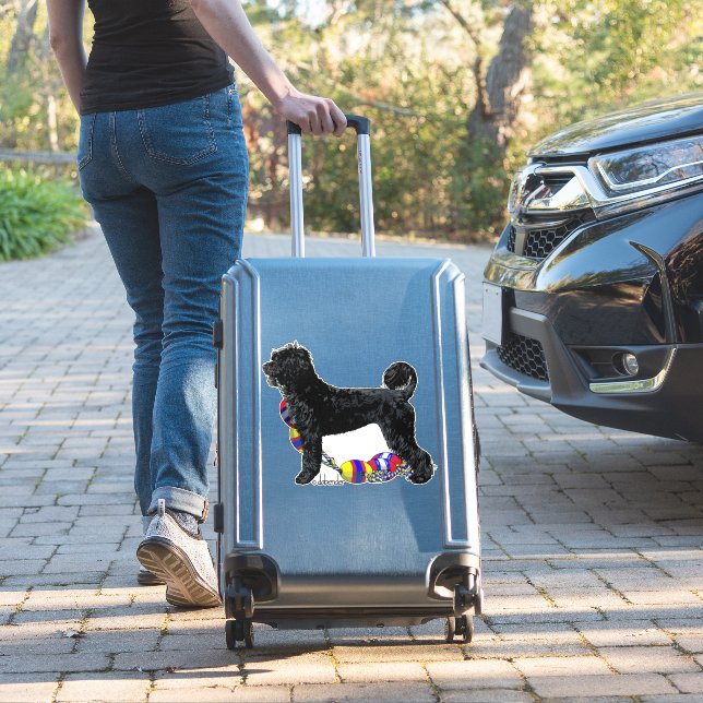 Portuguese Water Dog Standing with Float Line  (Suitcase Insitu)
