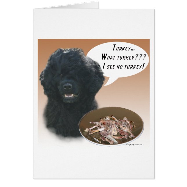 Portuguese Water Dog Turkey (Front)