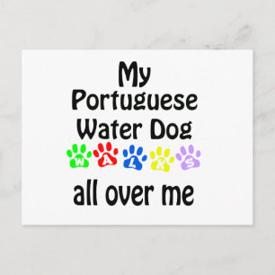Portuguese Water Dog Walks Design Postcard