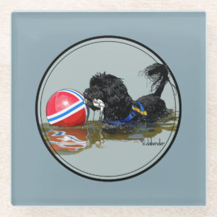 Portuguese Water Dog with Buoy Ball 2 Glass Coaster