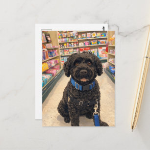 Portuguese Water Dogs Kawaii Anime Postcard