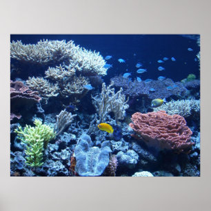 Poseidon's Garden Poster