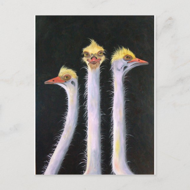 Posers Postcard (Front)