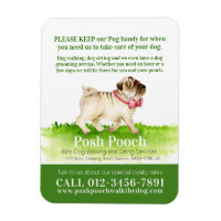 Posh pooch cute pug dog walking services business