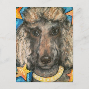 Posh Poodle Postcard