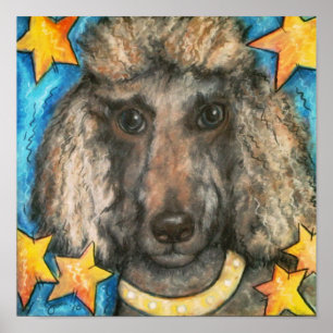 Posh Poodle Poster