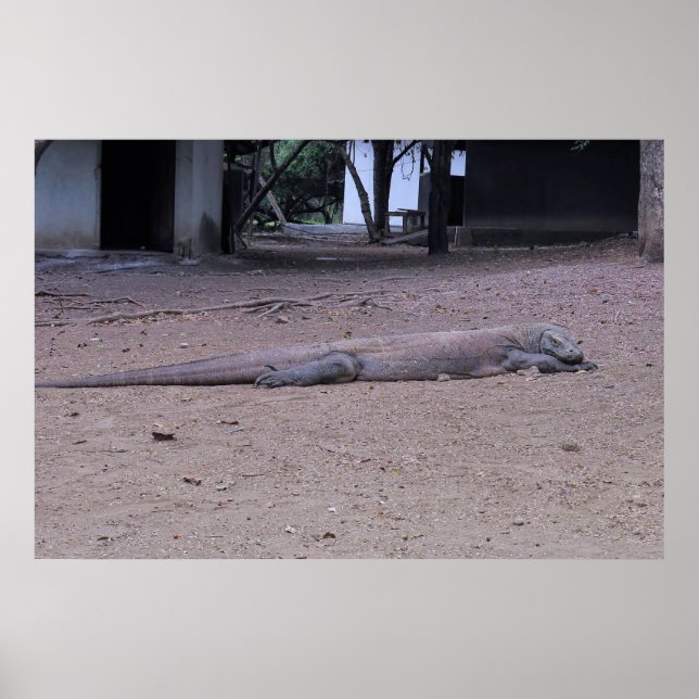 Posing Dragon Poster (Front)