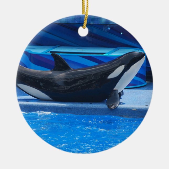 Posing Orca Ornament (Front)