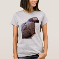 Posing Parrot