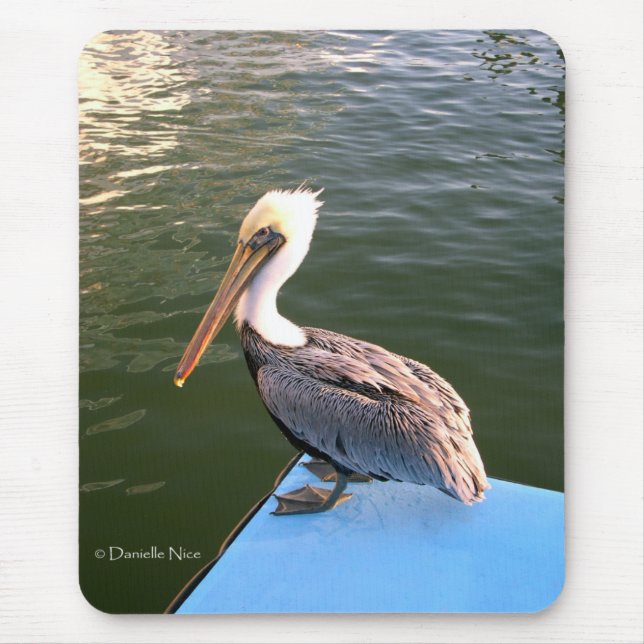 Posing Pelican Mousepad (Front)