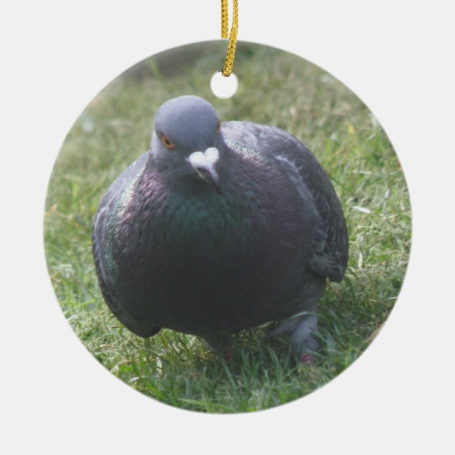 Posing Pigeon Custom Birthday Ceramic Tree Decoration (Front)