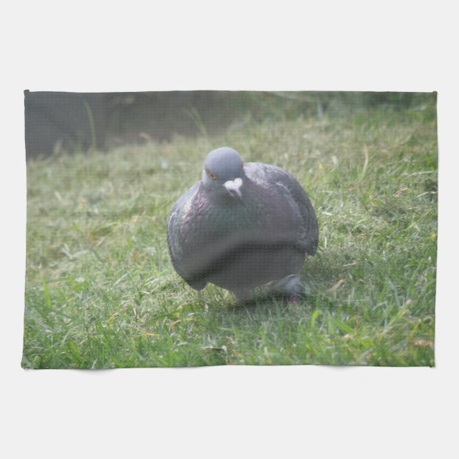 Posing Pigeon Kitchen Towel (Horizontal)
