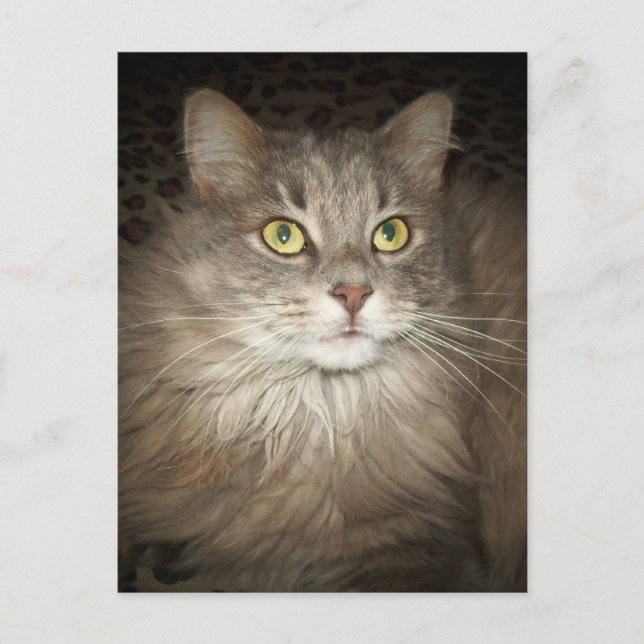 Posing Postcard (Front)