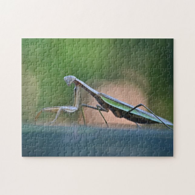 Posing Praying Mantis Jigsaw Puzzle (Horizontal)