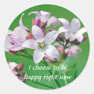 Positive Affirmation motivation about hapiness Classic Round Sticker