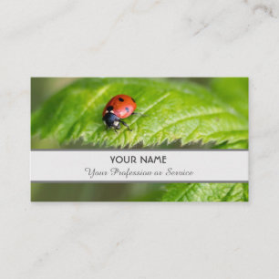 Positive and lucky ladybug for zen and education b business card