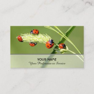 Positive lucky ladybugs for healthy well being business card