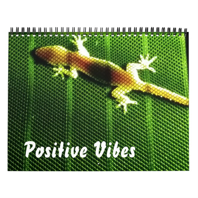 Positive Vibes Calendar (Cover)
