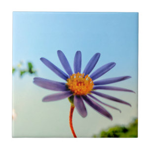 Positive Vibes Wild Soft Blue Flower Tile
