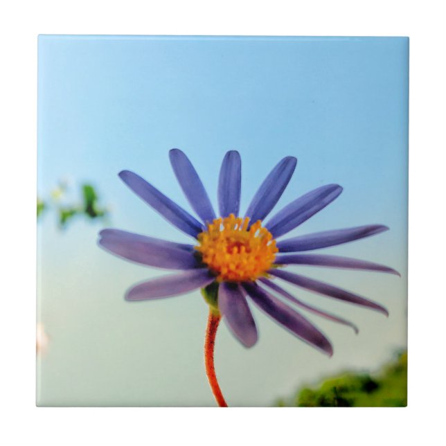 Positive Vibes Wild Soft Blue Flower Tile (Front)