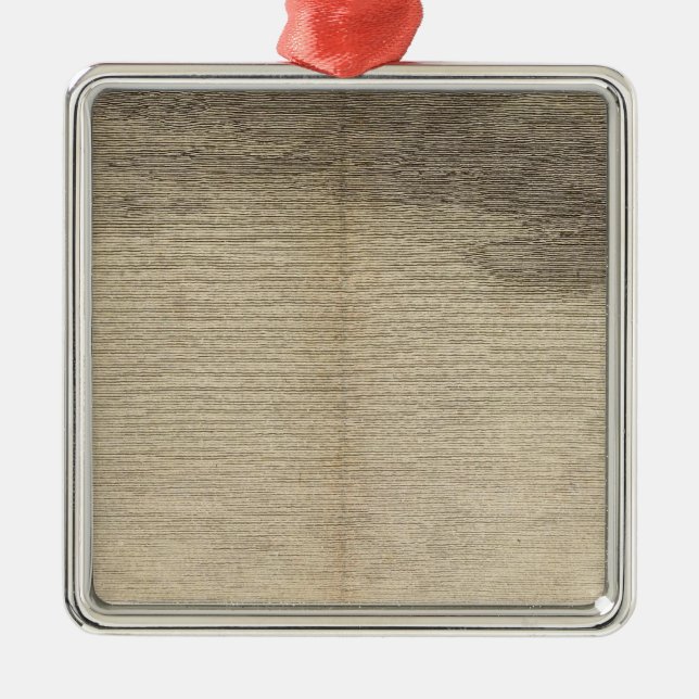 Possession Bay, South Georgia Metal Tree Decoration (Front)