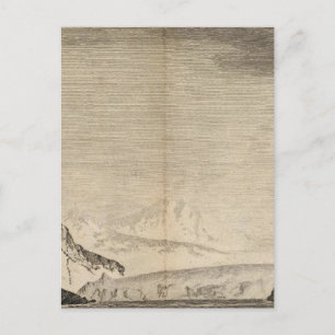 Possession Bay, South Georgia Postcard