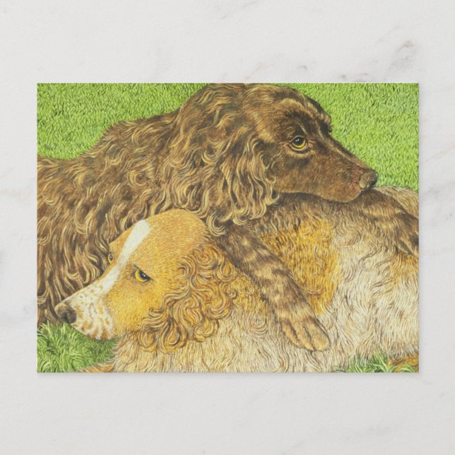 Possession Postcard (Front)