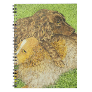 Possession Spiral Notebook