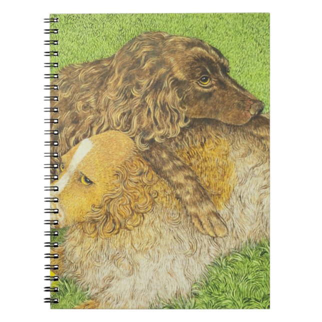 Possession Spiral Notebook (Front)