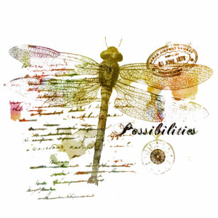 Possibilities dragonfly magnet photo sculpture magnet