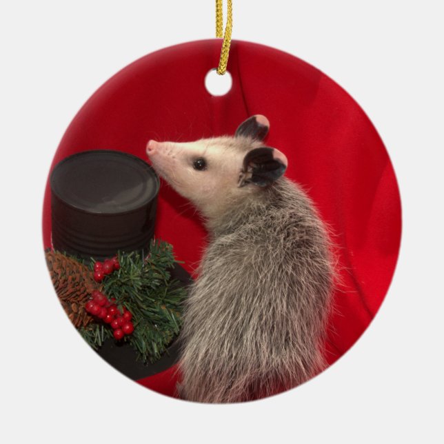 Possum Christmas Ornament (Front)