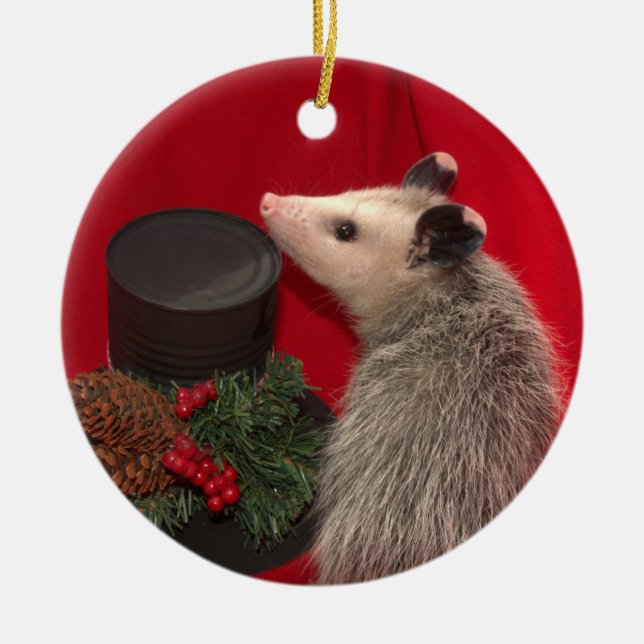 Possum Christmas Ornament.. One of a Kind !!! Ceramic Tree Decoration (Front)