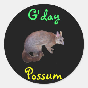 Possum Classic Round Sticker