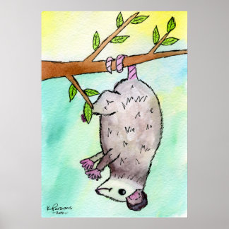 Possum Danglin' Poster