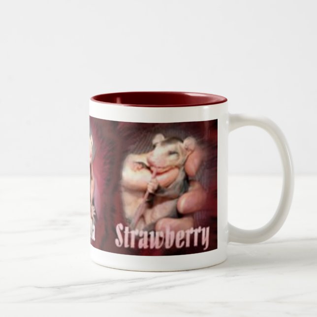 Possum Flavours Mug copy (Right)