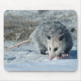 Possum Mousepad