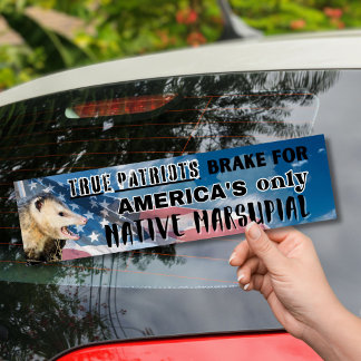 Possum Sticker - America's only Native Marsupial