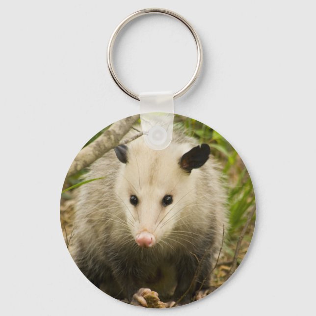Possums are Pretty - Opossum Didelphimorphia Key Ring (Front)